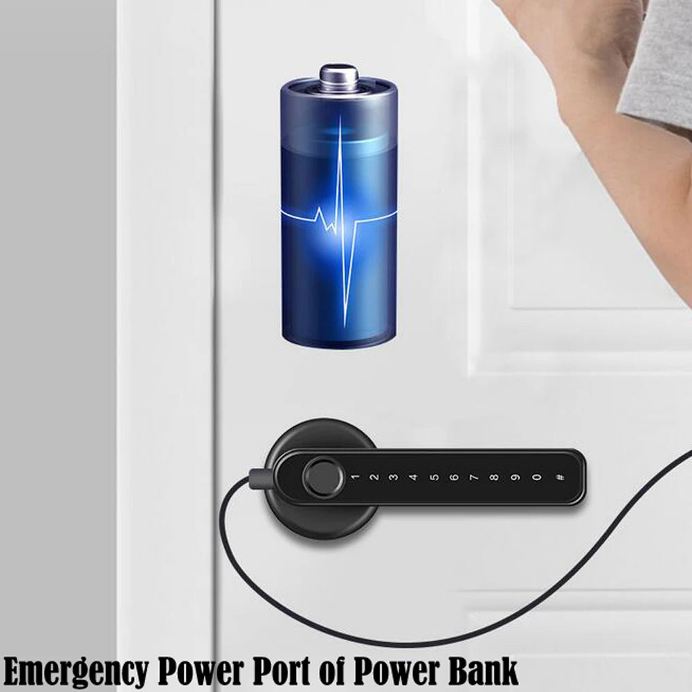 TTLock/tuya APP Smart Fingerprint Lock password code Door Lock Bluetooth Biometric fingerprint lock Electronic Handle Lock